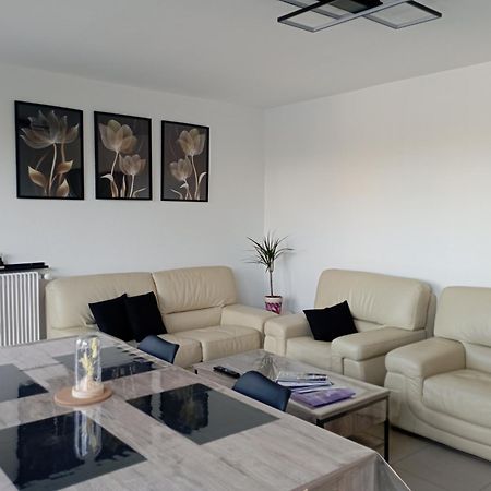 Le Belle Vue Appartement Saint-Etienne  Buitenkant foto